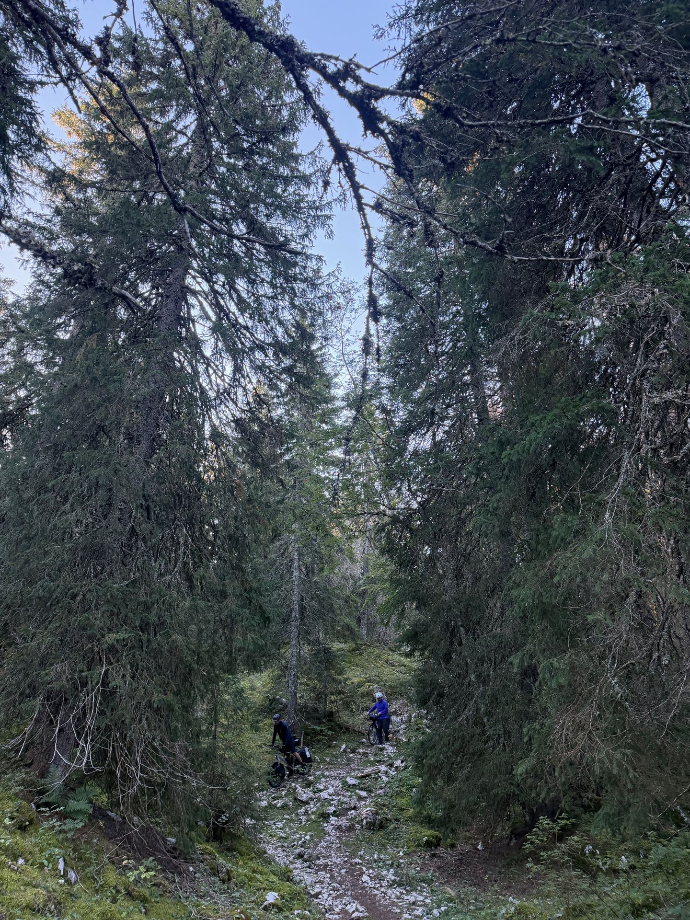 Bikepackers op een rotsig pad door een sparrenbos in de Jura