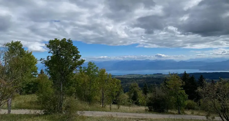 Uitzicht vanaf de Jura over het meer van Genève en de Alpen
