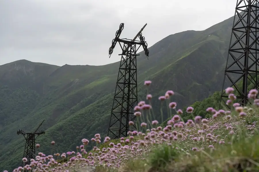 Oude kabelbaanpylonen uit de mijnbouw tussen bloeiend Engels gras op een berghelling in de Val d'Aran