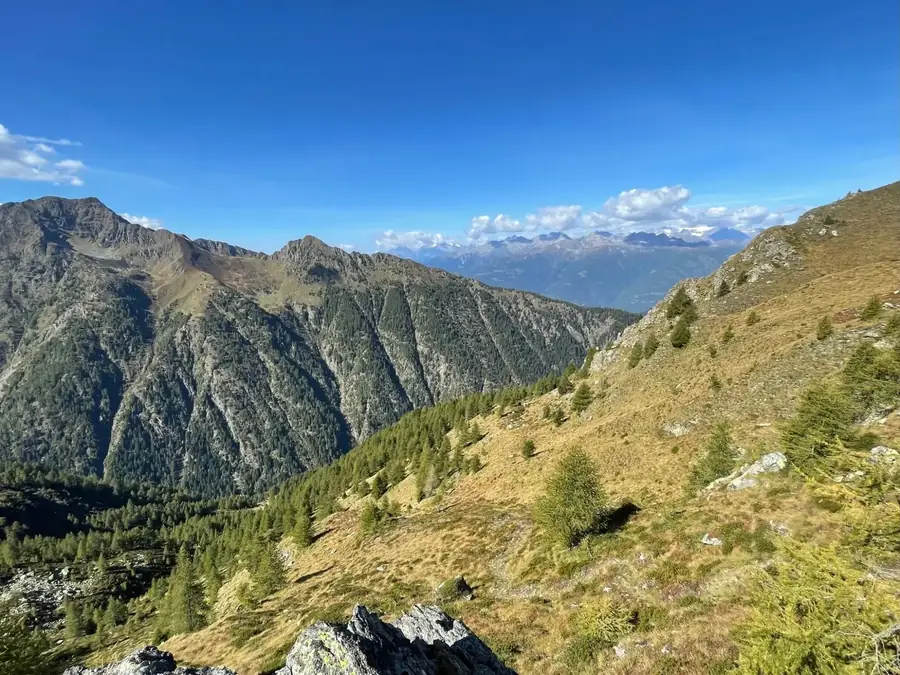 Beboste bergkammen met in de verte de toppen van de Alpen