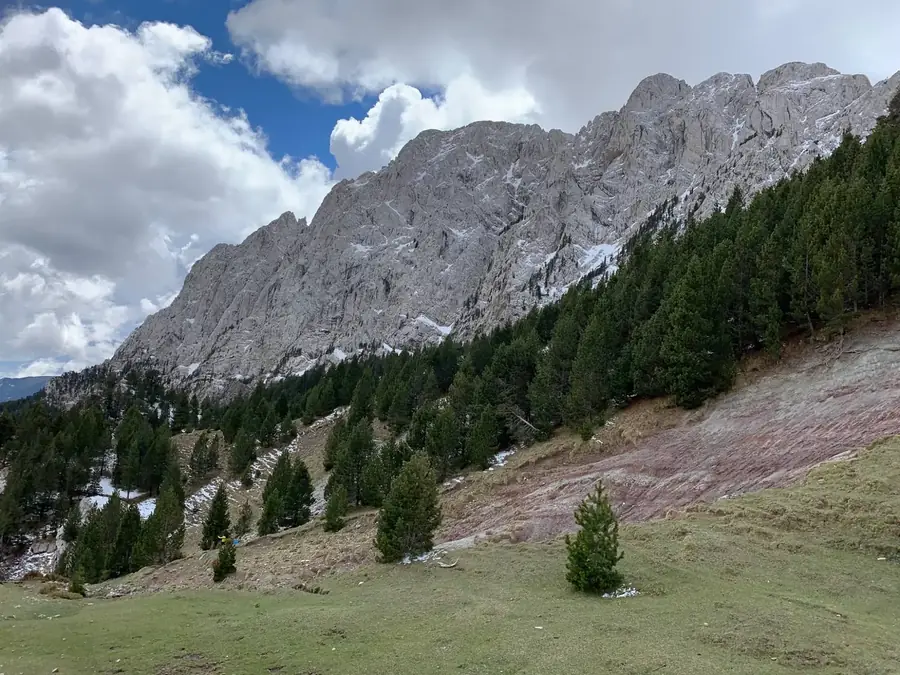 Kalkstenen wand van de Cadí boven een alpenweide met dennen en rode aarde