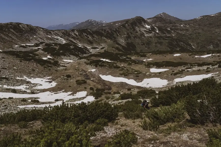 Hoogvlakte met sneeuwvelden en bergdennen boven de boomgrens