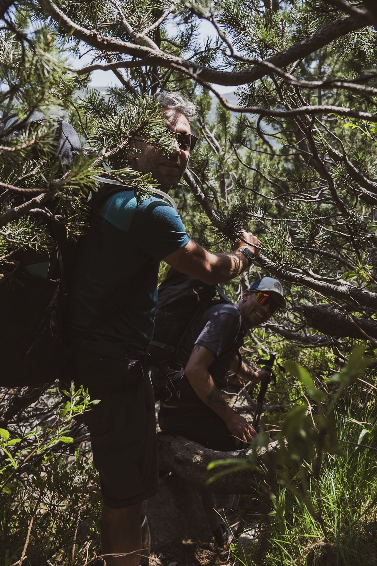 Hiken door dichte natuur en begroeiing in Bulgarije
