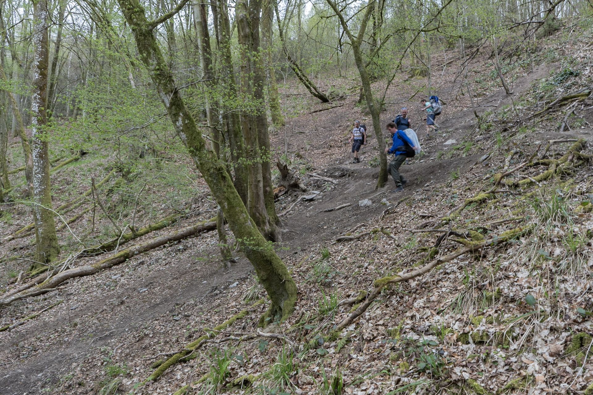 Afdaling naar de Ourthe