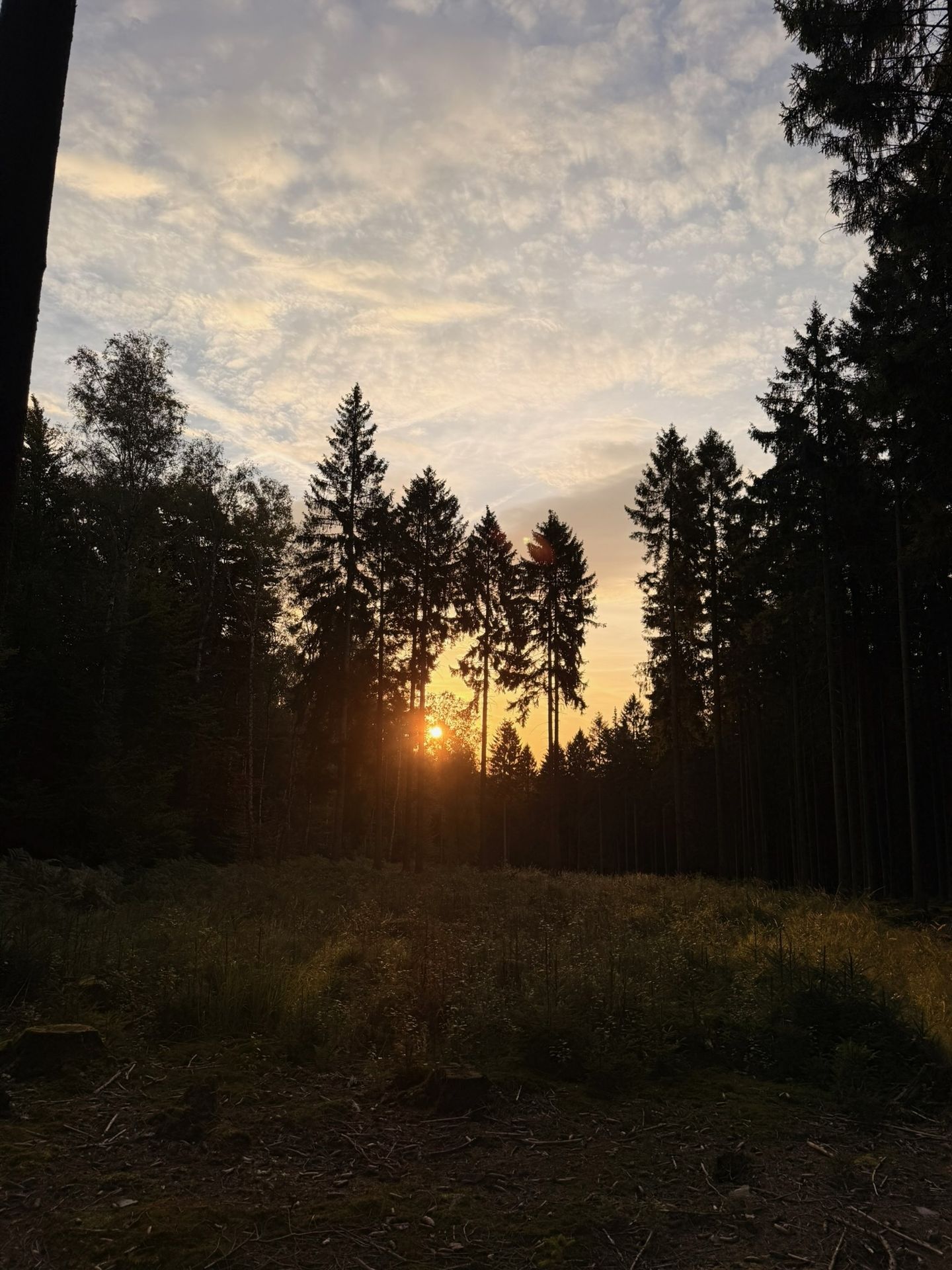 Zonsondergang in de eigel