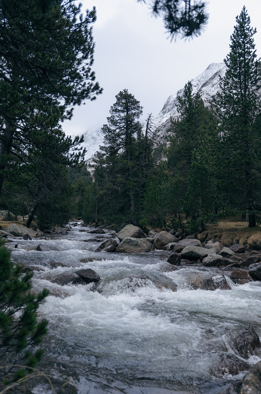 Bergbeek in de Pyreneeën langs een wandeltocht nabij Benasque