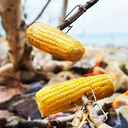 FireLighting Kit 3pcs-2.webp